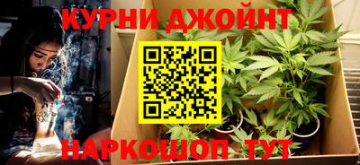 сатива Будённовск