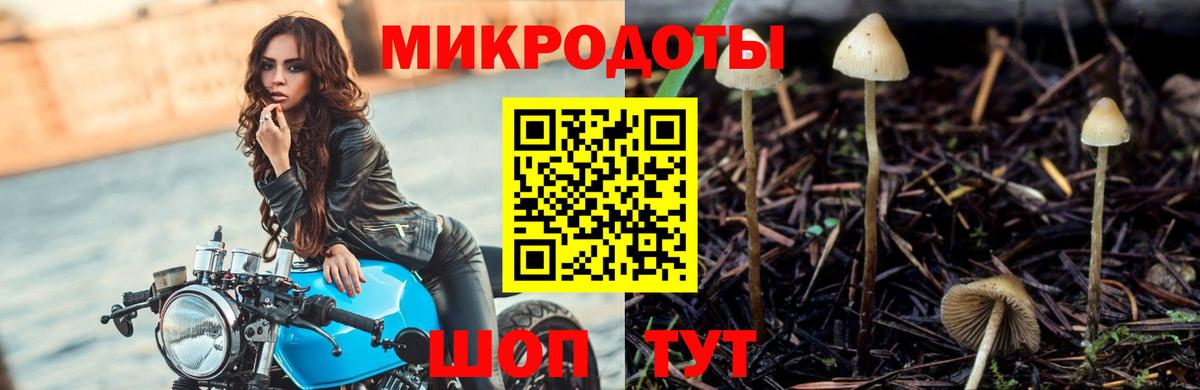 Псилоцибиновые грибы ЛСД  Вход с VPN  Псилоцибиновые грибы Psilocybe  Лобня 